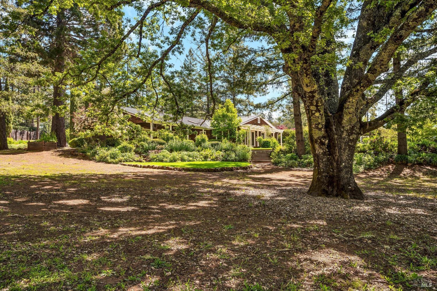 1065 Summit Lake Drive Angwin, CA 94508 - Photo 19 of 47 a view of a yard with a tree