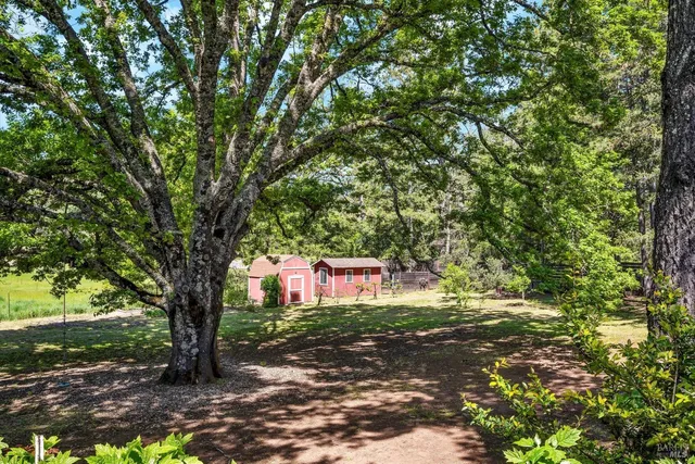 a view of a tree in front of a house