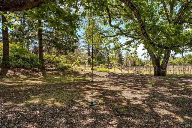 a view of yard with trees