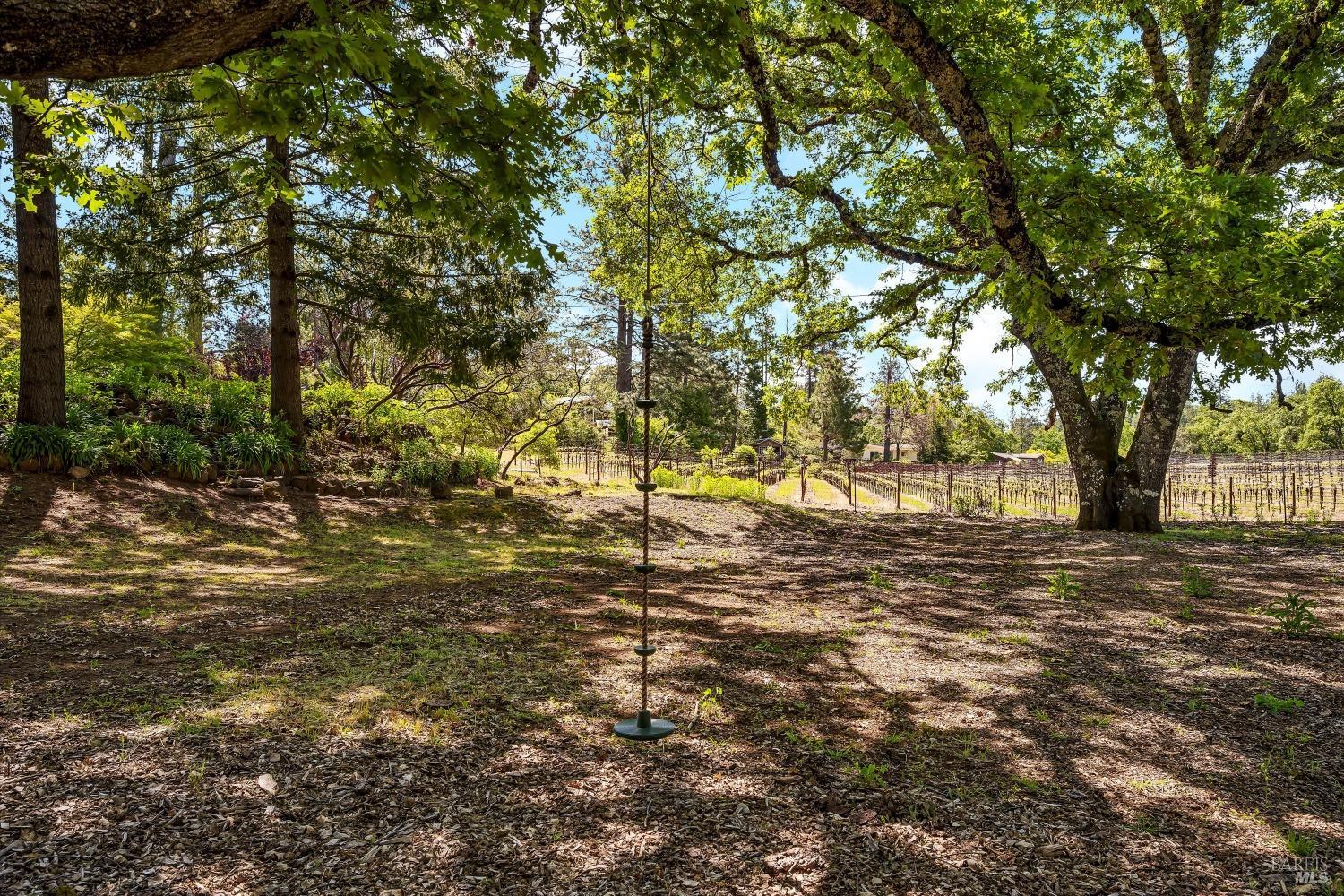 1065 Summit Lake Drive Angwin, CA 94508 - Photo 47 of 47 a view of yard with trees