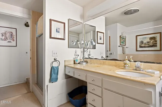 a close view of dining table with chairs and potted plant