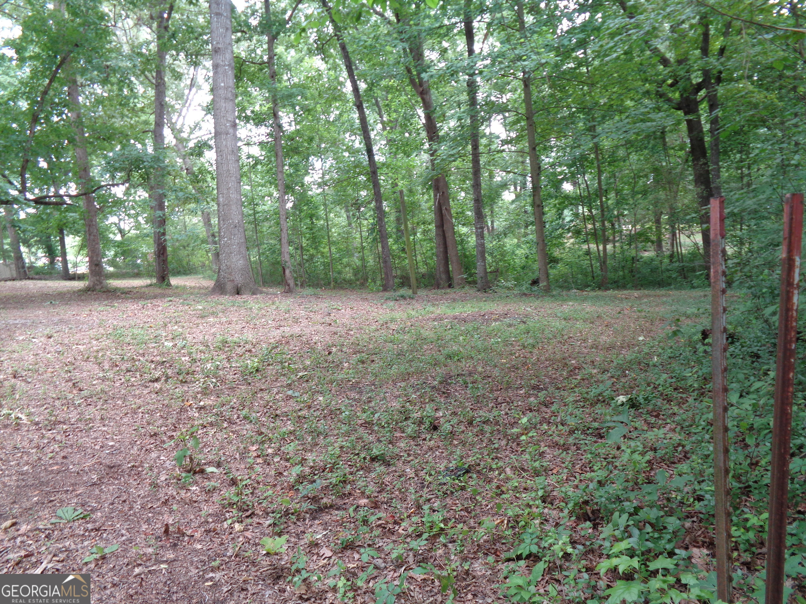 2411 Kesler Road Carnesville, GA 30521 - Photo 27 of 61 a view of a big yard with trees in the background