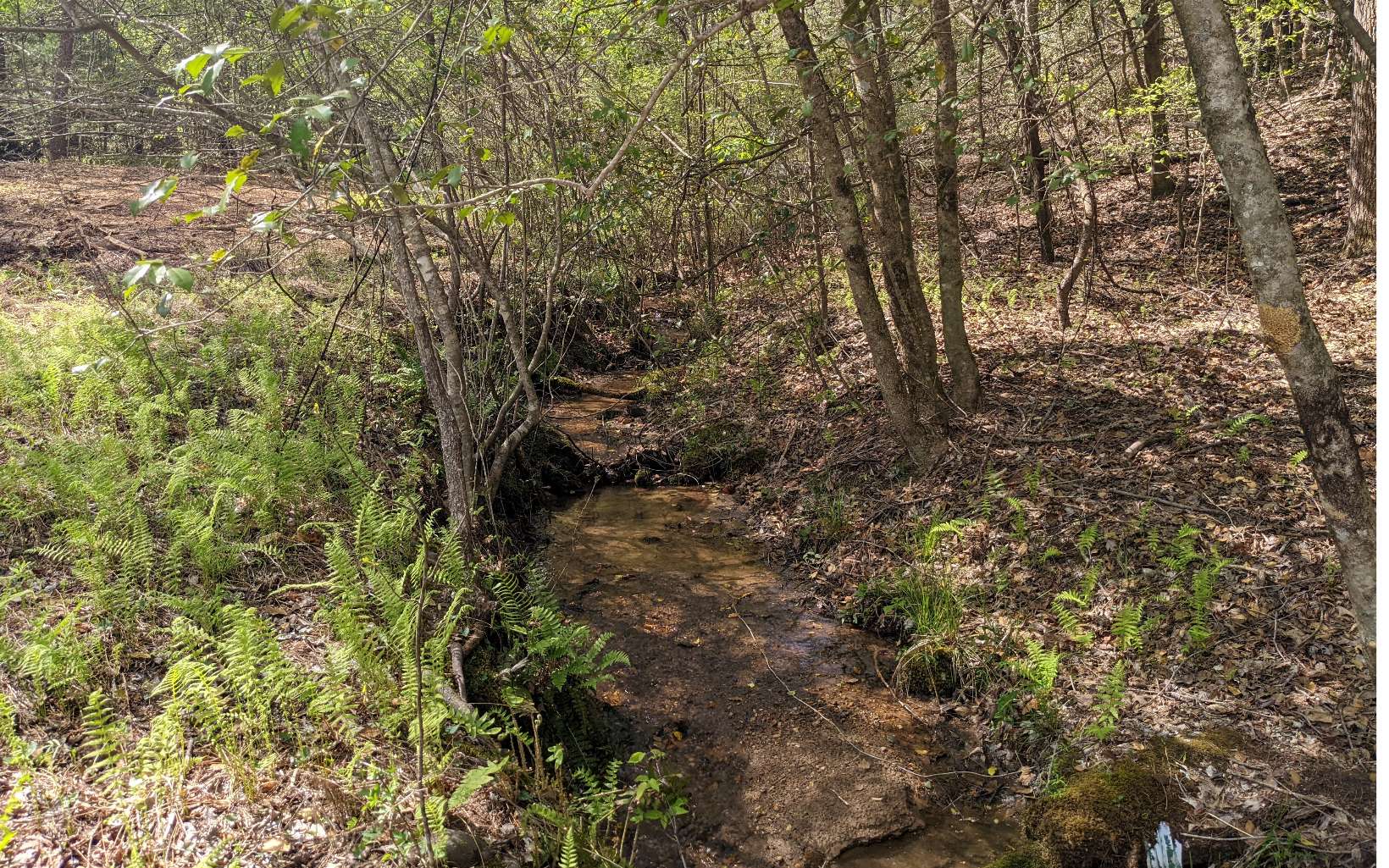 Lot 2 Huntington Ridge Road Blairsville, GA 30512 - Photo 21 of 29 Additional View