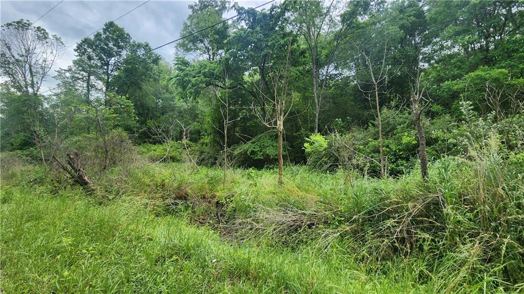 0 Novinger Road Leechburg, PA 15656 - Photo 5 of 7 a view of a lush green forest