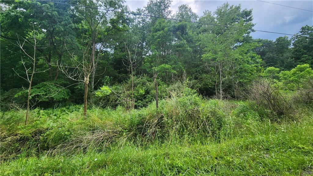 0 Novinger Road Leechburg, PA 15656 - Photo 6 of 7 a view of a lush green forest