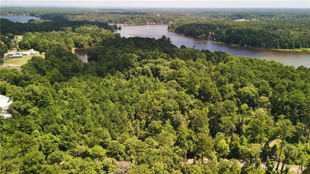 0 Miller Road Boyce, LA 71409 - Photo 12 of 15