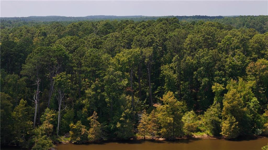 0 Miller Road Boyce, LA 71409 - Photo 13 of 15