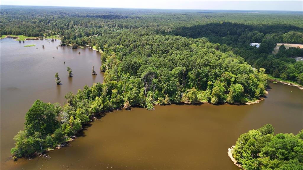 0 Miller Road Boyce, LA 71409 - Photo 6 of 15