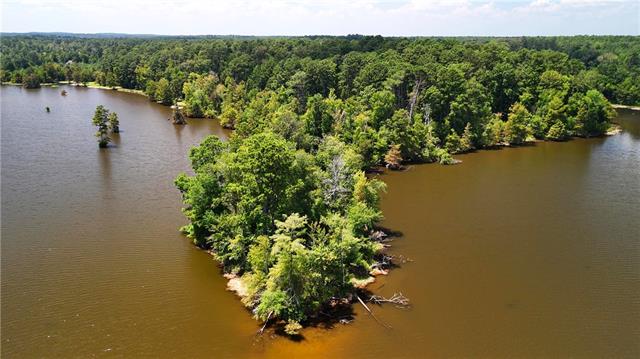 0 Miller Road Boyce, LA 71409 - Photo 8 of 15