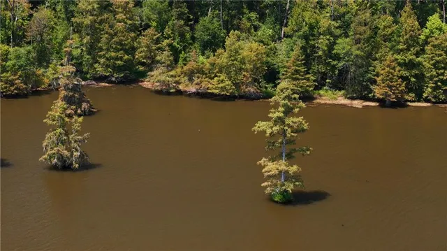 $375,000 | 0 Miller Road, Boyce, LA 71409