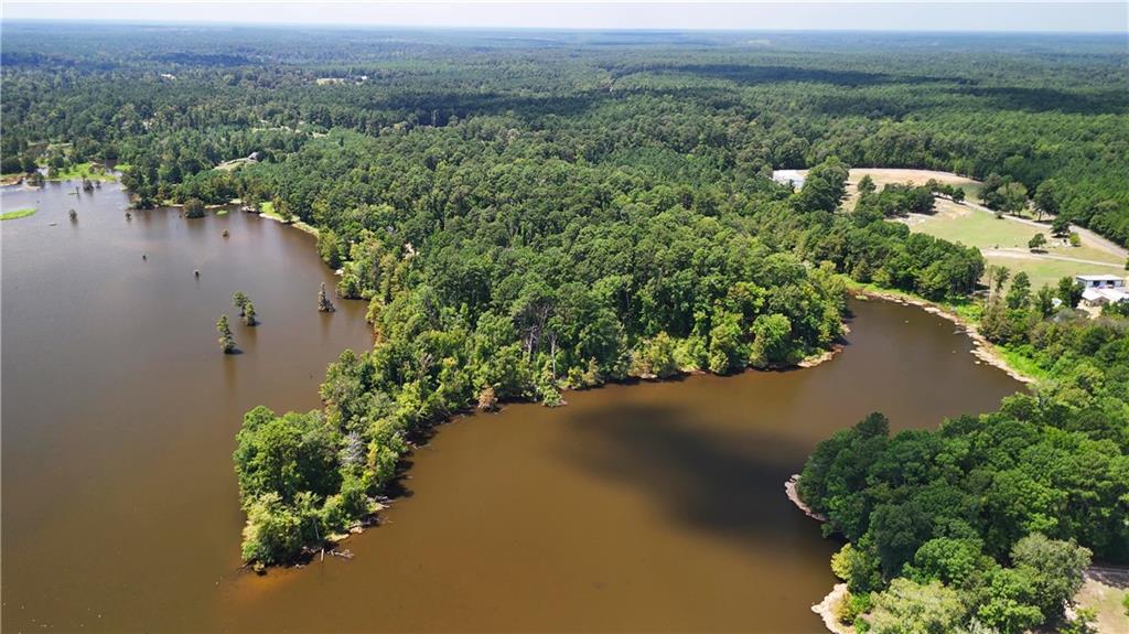 0 Miller Road Boyce, LA 71409 - Photo 10 of 15