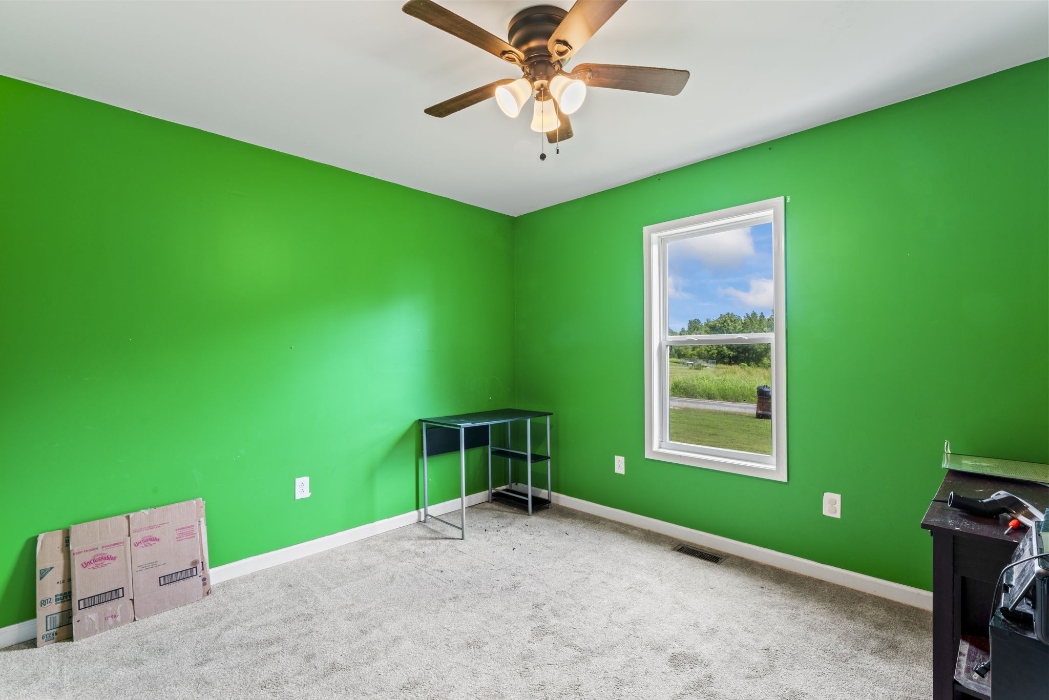 1112 Dugout Road Summertown, TN 38483 - Photo 12 of 24