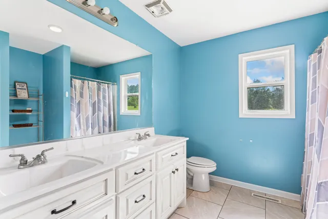 a bathroom with a double vanity sink toilet and a mirror