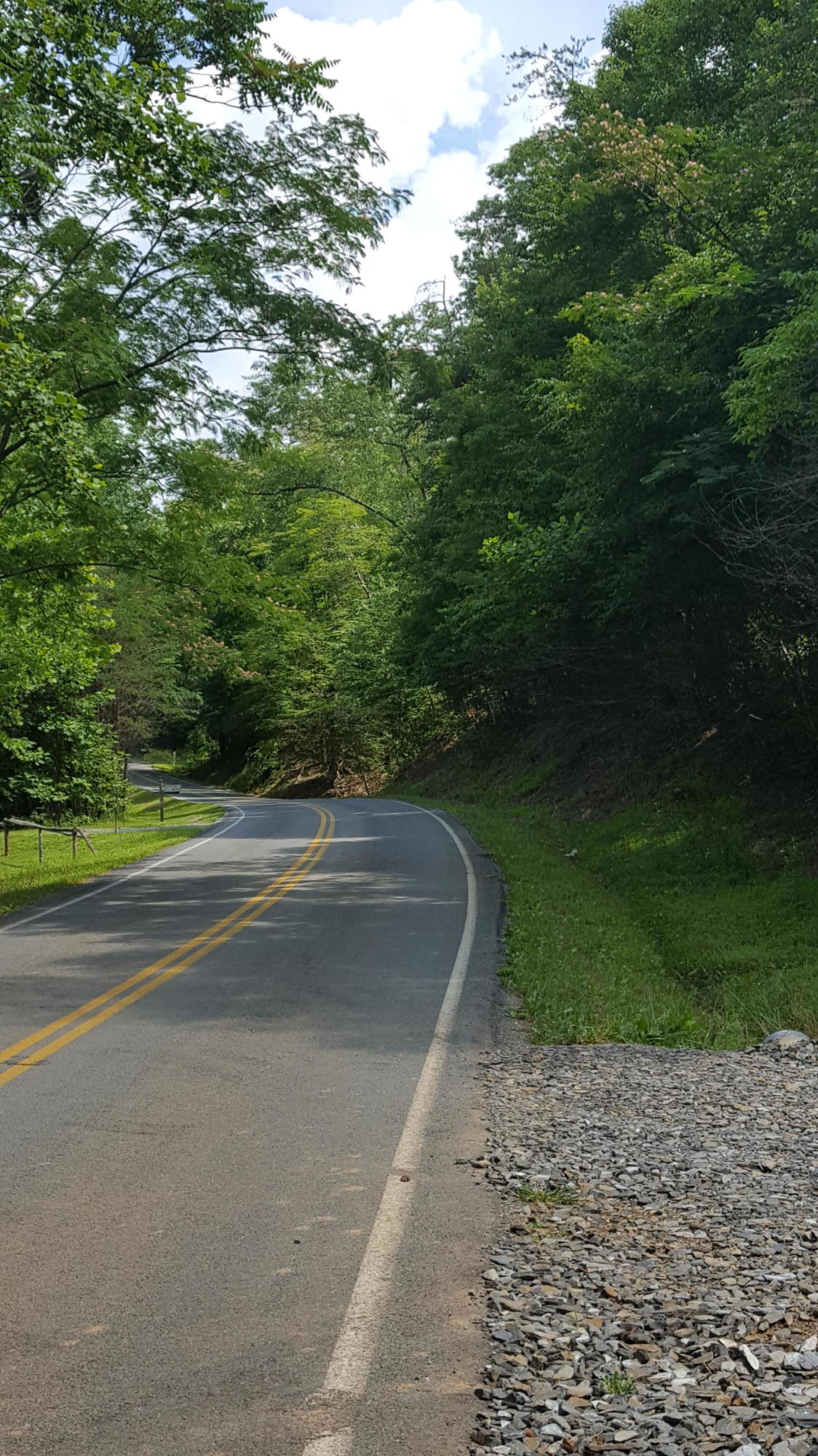 0 Prillaman Switch Road Ferrum, VA 24088 - Photo 3 of 4