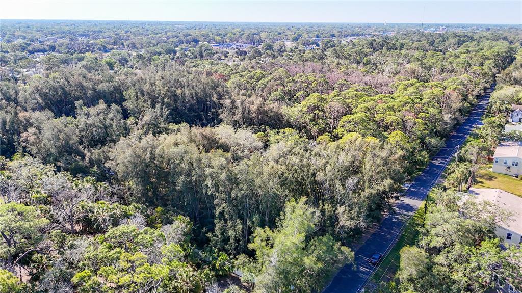 0 Oelsner Street Port Richey, FL 34668 - Photo 12 of 40