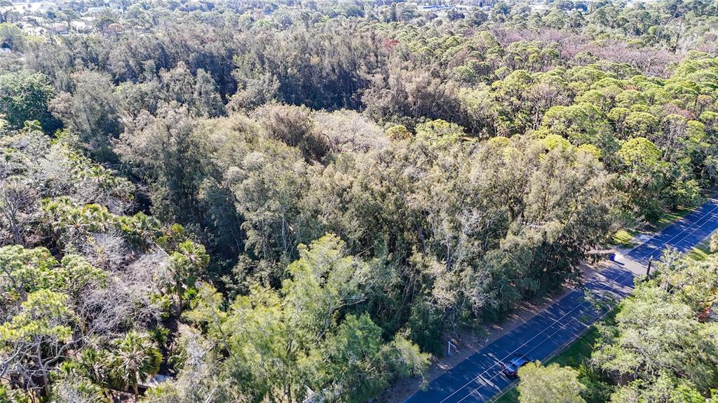 0 Oelsner Street Port Richey, FL 34668 - Photo 13 of 40