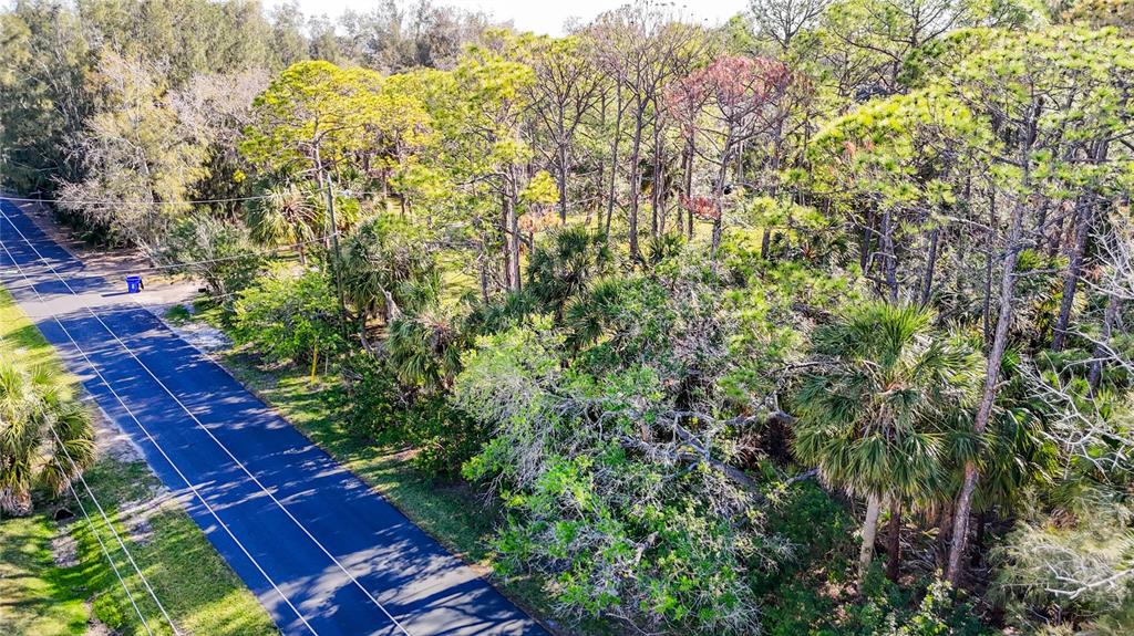 0 Oelsner Street Port Richey, FL 34668 - Photo 17 of 40