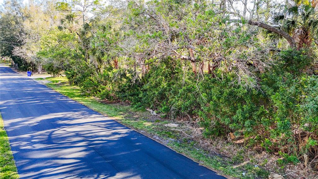 0 Oelsner Street Port Richey, FL 34668 - Photo 18 of 40