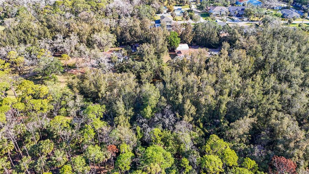 0 Oelsner Street Port Richey, FL 34668 - Photo 19 of 40