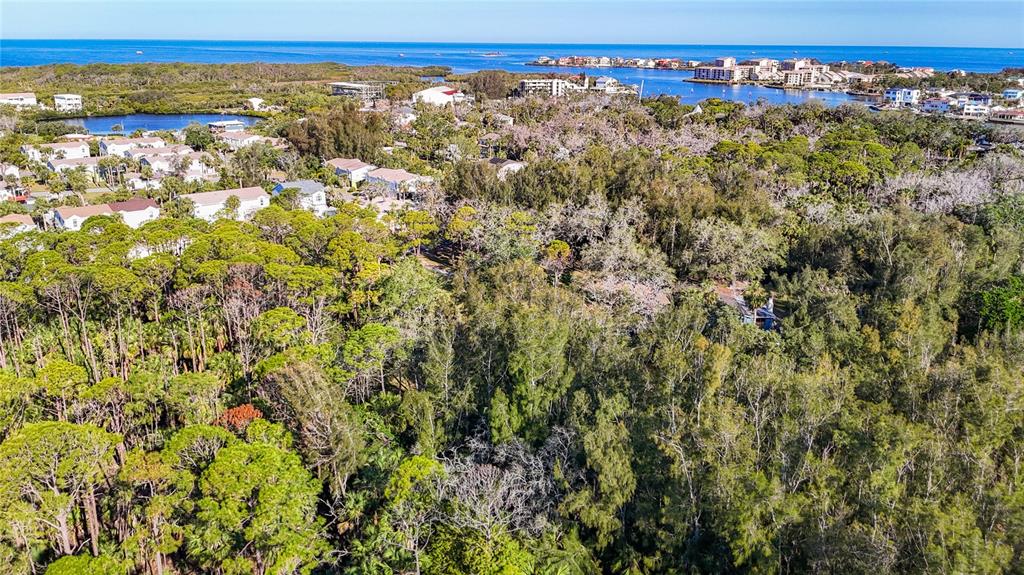 0 Oelsner Street Port Richey, FL 34668 - Photo 20 of 40