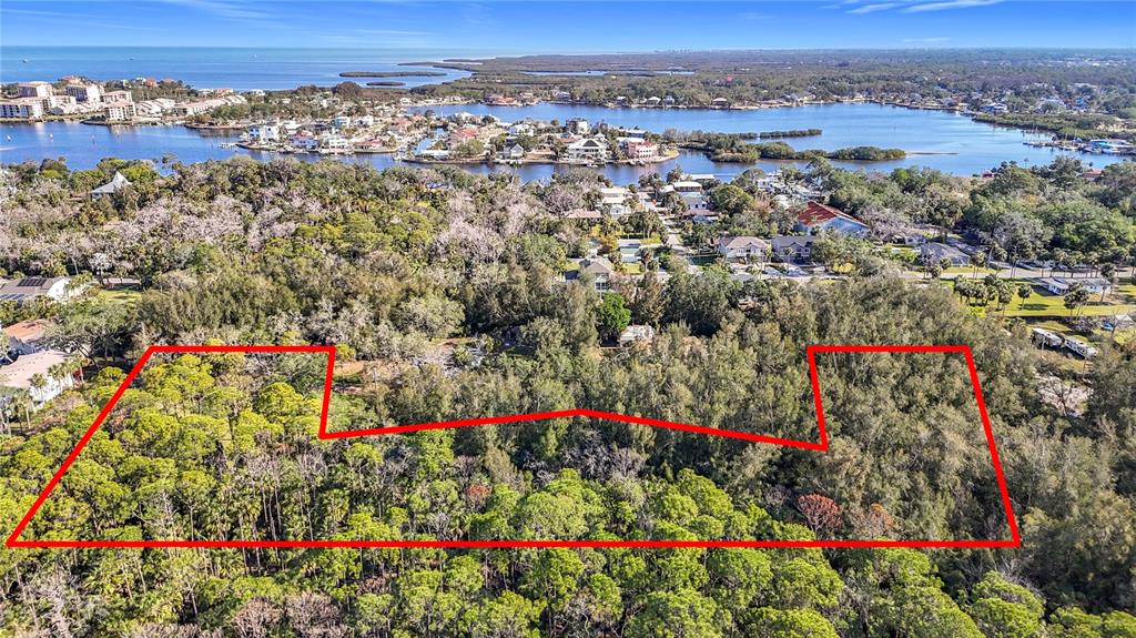 0 Oelsner Street Port Richey, FL 34668 - Photo 2 of 40