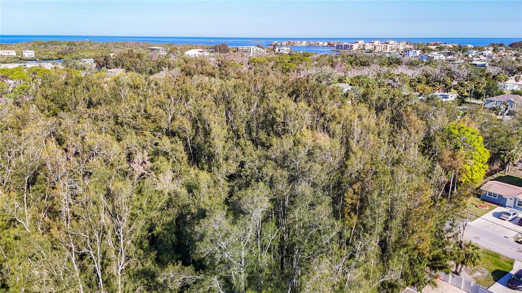 0 Oelsner Street Port Richey, FL 34668 - Photo 26 of 40