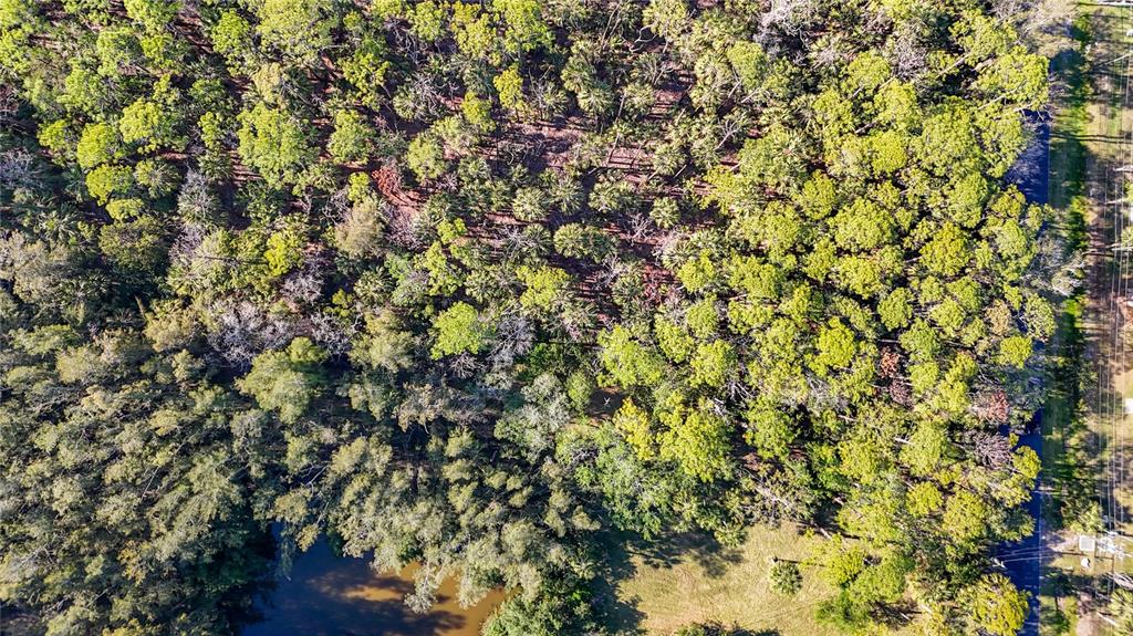 0 Oelsner Street Port Richey, FL 34668 - Photo 28 of 40