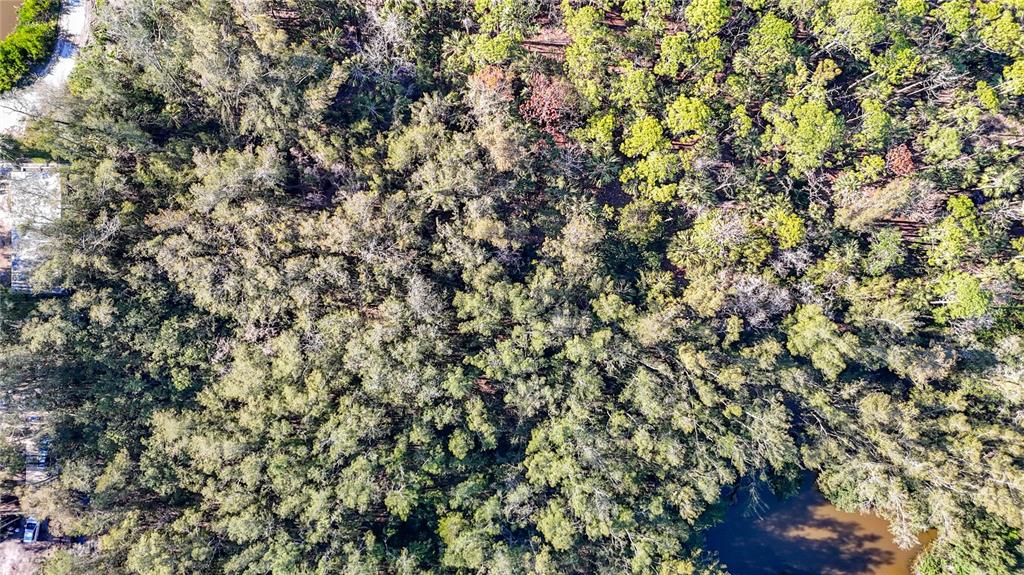 0 Oelsner Street Port Richey, FL 34668 - Photo 29 of 40