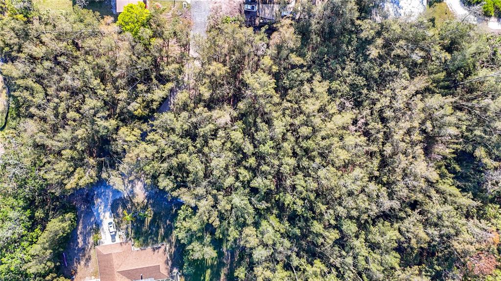 0 Oelsner Street Port Richey, FL 34668 - Photo 30 of 40