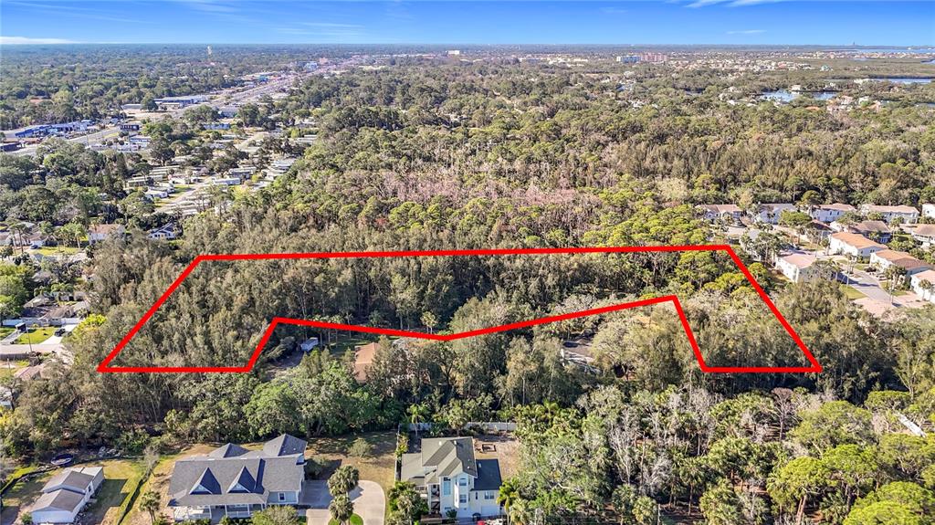 0 Oelsner Street Port Richey, FL 34668 - Photo 3 of 40