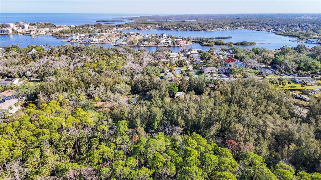 0 Oelsner Street Port Richey, FL 34668 - Photo 35 of 40