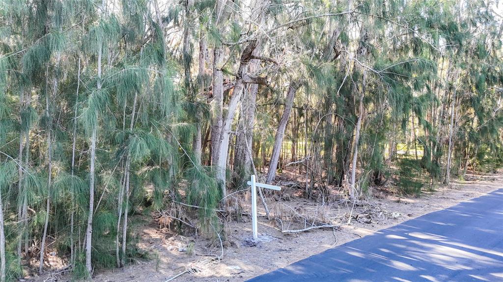 0 Oelsner Street Port Richey, FL 34668 - Photo 4 of 40