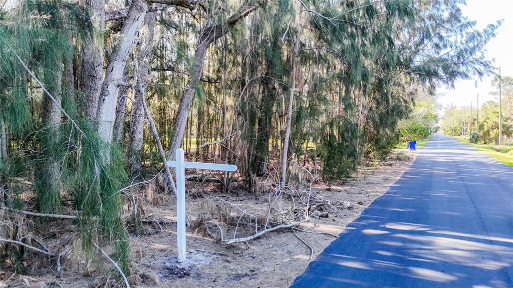 0 Oelsner Street Port Richey, FL 34668 - Photo 5 of 40