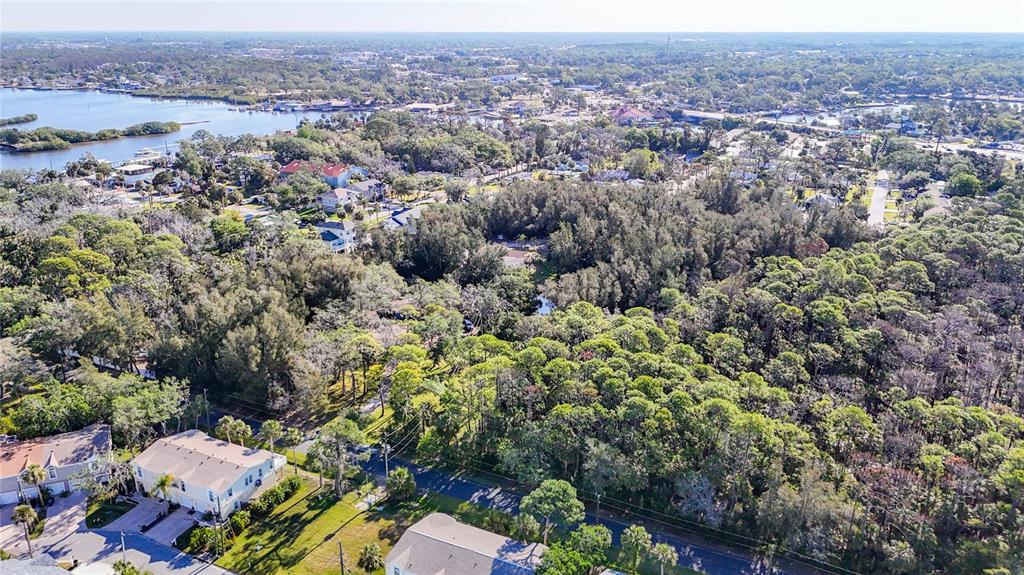 0 Oelsner Street Port Richey, FL 34668 - Photo 8 of 40