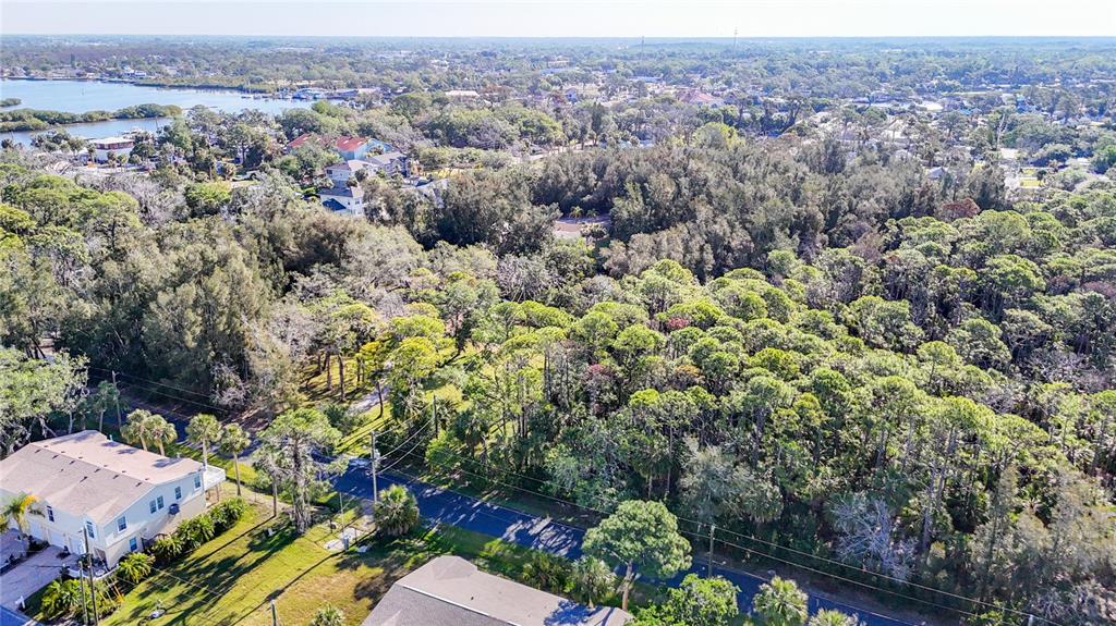0 Oelsner Street Port Richey, FL 34668 - Photo 9 of 40