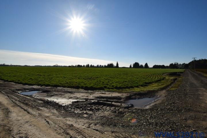 22506 Bents Road Northeast Aurora, OR 97002 - Photo 15 of 33