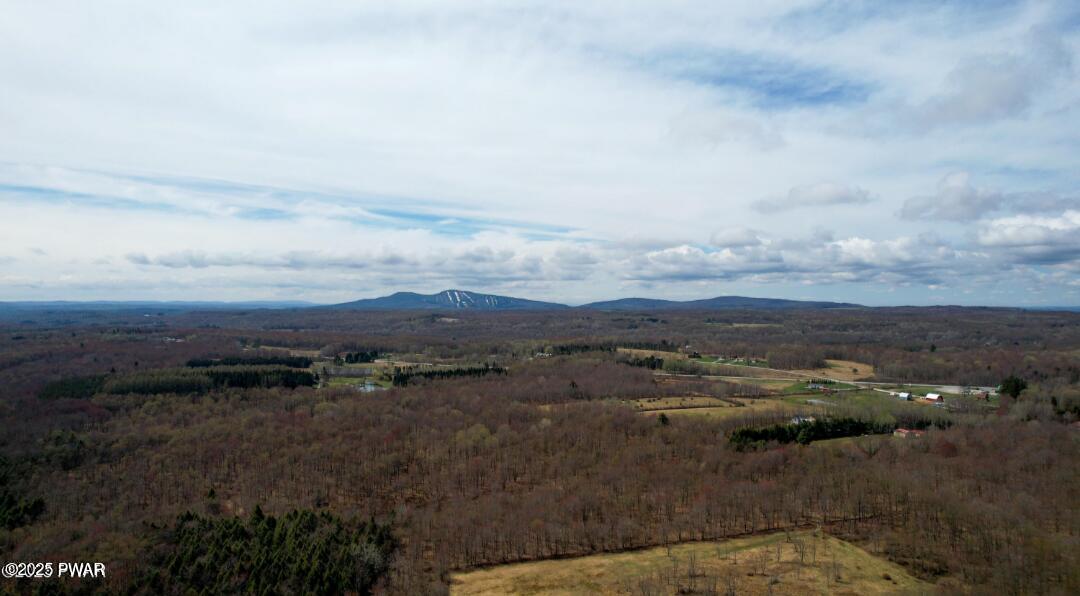 2139 Svecz Road Union Dale, PA 18470 - Photo 7 of 63