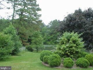 28640 Old Quantico Road Salisbury, MD 21801 - Photo 5 of 6 Gallery Image 5