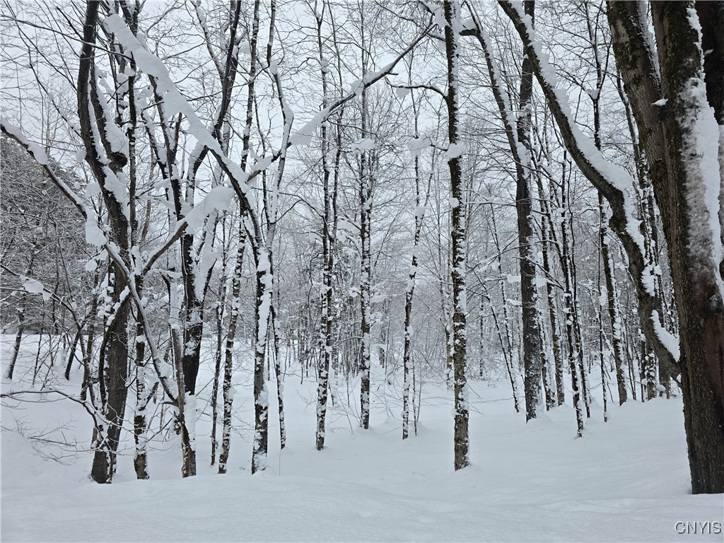 Mill Road Taberg, NY 13471 - Photo 4 of 5