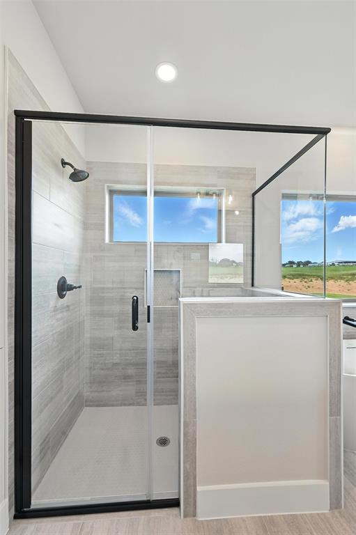 224 Kilkenny Road Poolville, TX 76487 - Photo 17 of 32 a bathroom with a shower