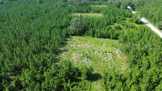 Southwest Carpenter Road West Lake City, FL 32024 - Photo 2 of 5
