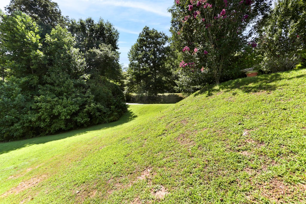 100 Dawson Way Blue Ridge, GA 30513 - Photo 30 of 37 Gallery Image 30