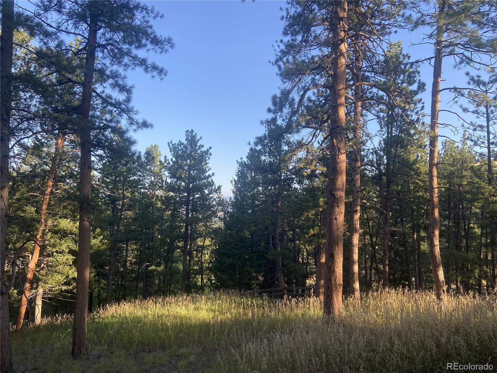 4393 South Pima Road Indian Hills, CO 80454 - Photo 4 of 12