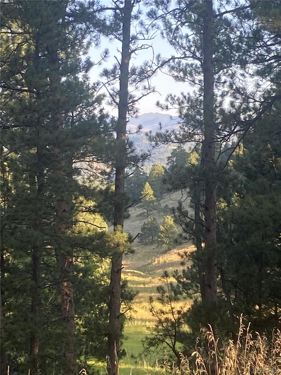 4393 South Pima Road Indian Hills, CO 80454 - Photo 6 of 12