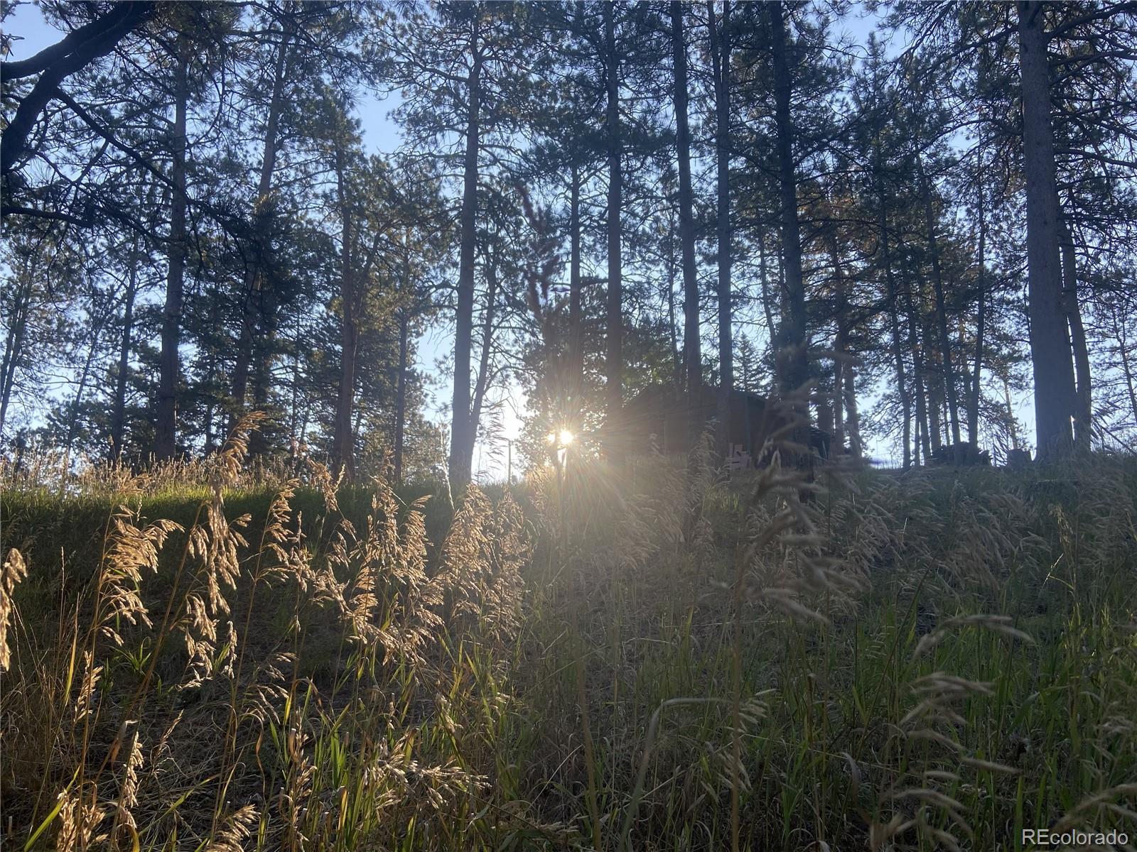 4393 South Pima Road Indian Hills, CO 80454 - Photo 7 of 12