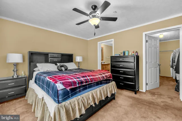 a kitchen with a stove a sink and a refrigerator