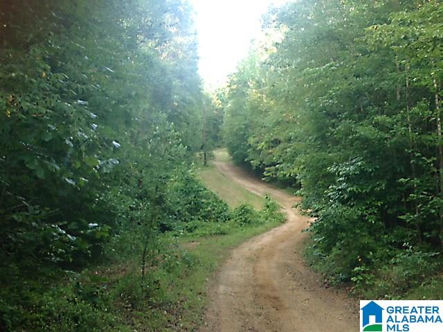 Sycamore Road, Unit 125 Columbiana, AL 35051 - Photo 9 of 14