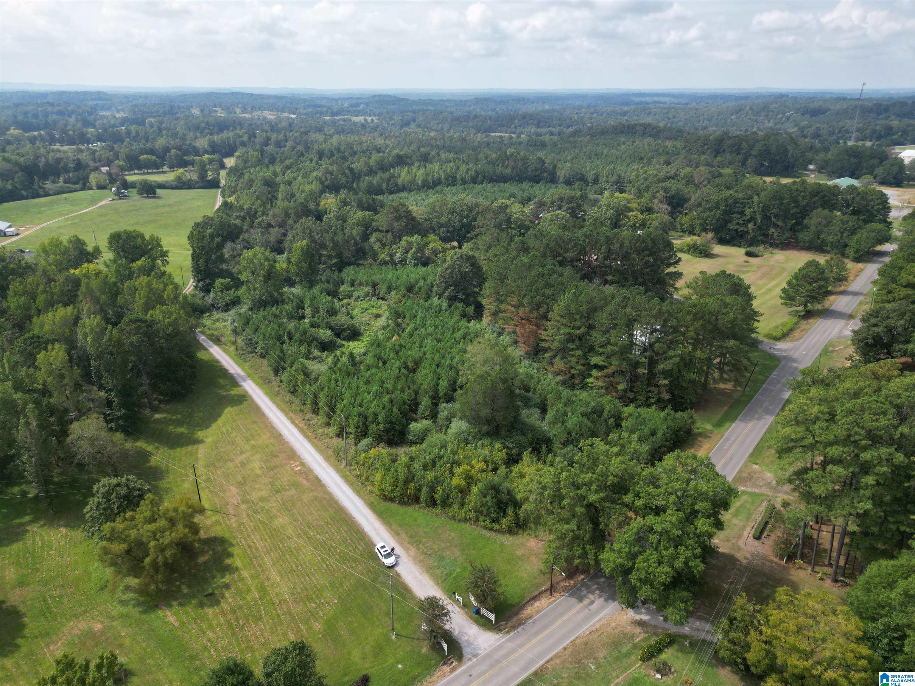 2941 County Line Drive, Unit 1 Trafford, AL 35172 - Photo 2 of 15