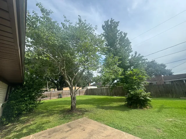 a view of a garden with a tree