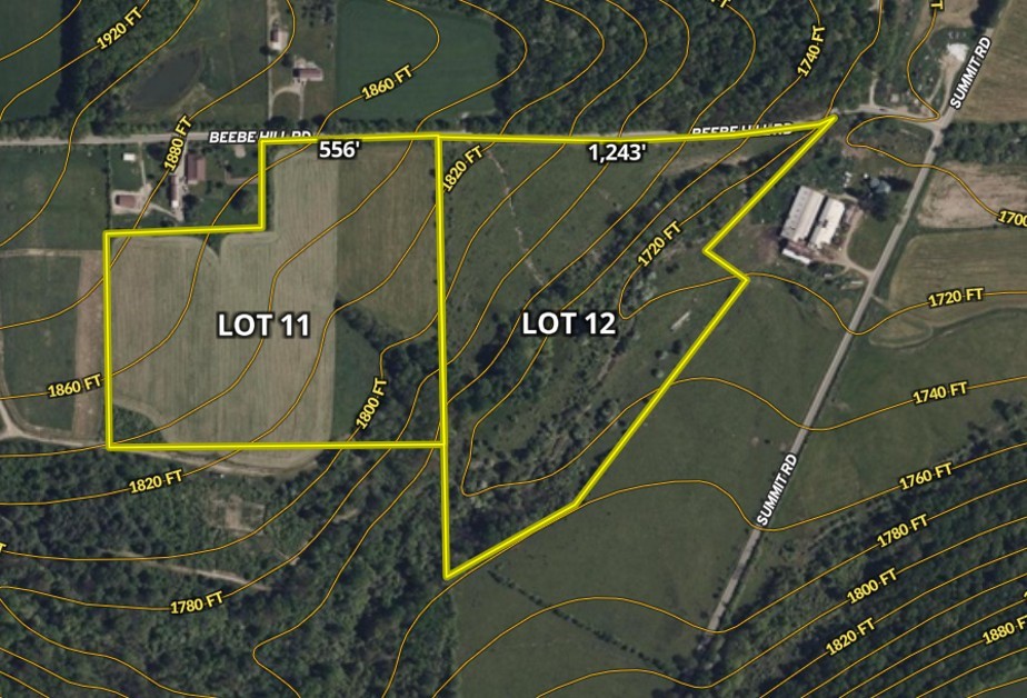Lot 12 Beebe Hill Road Cuba, NY 14727 - Photo 12 of 13